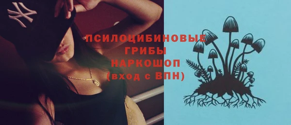 стаф Арсеньев