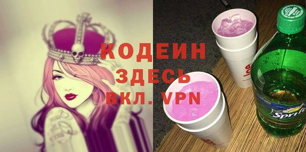 амф Няндома