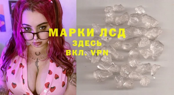 стаф Арсеньев